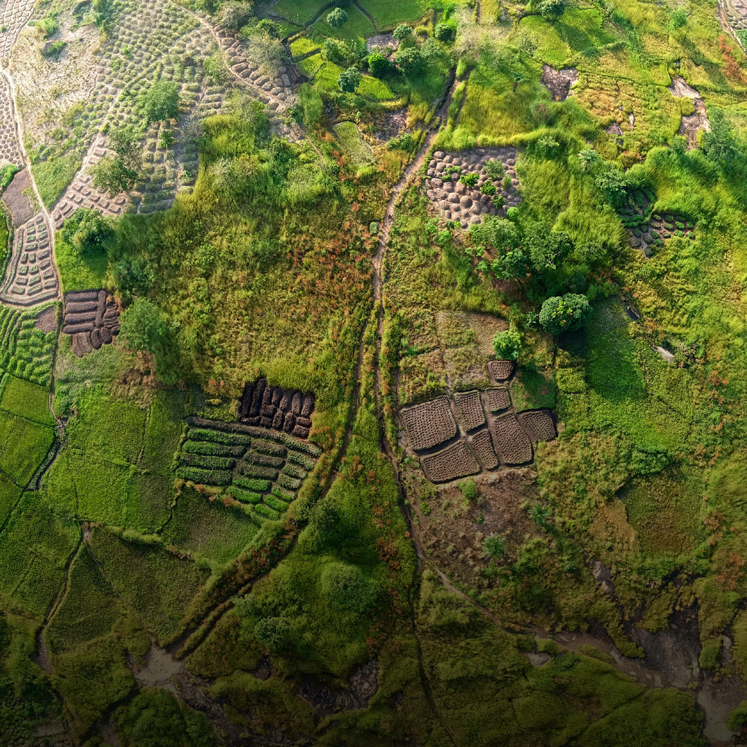 Luftbildaufnahme von Wiesen und Feldern